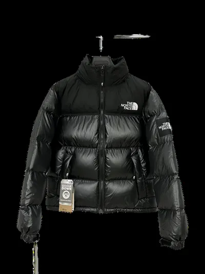 The North Face Down Jacket 5+ colorways [Premium Quality]